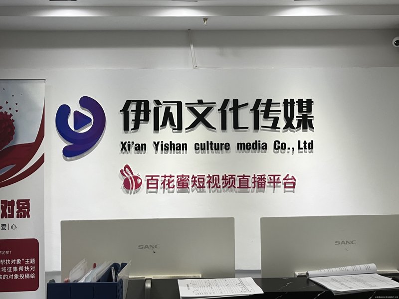 深入剖析：美好集团合肥项目的成功之道