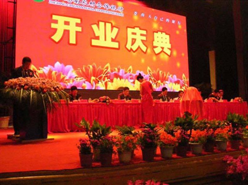 合肥美好年华文化有限公司的经营范围涵盖多个方面,具体包括但不限于以下几个领域: